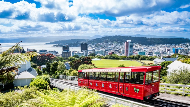 wellington view